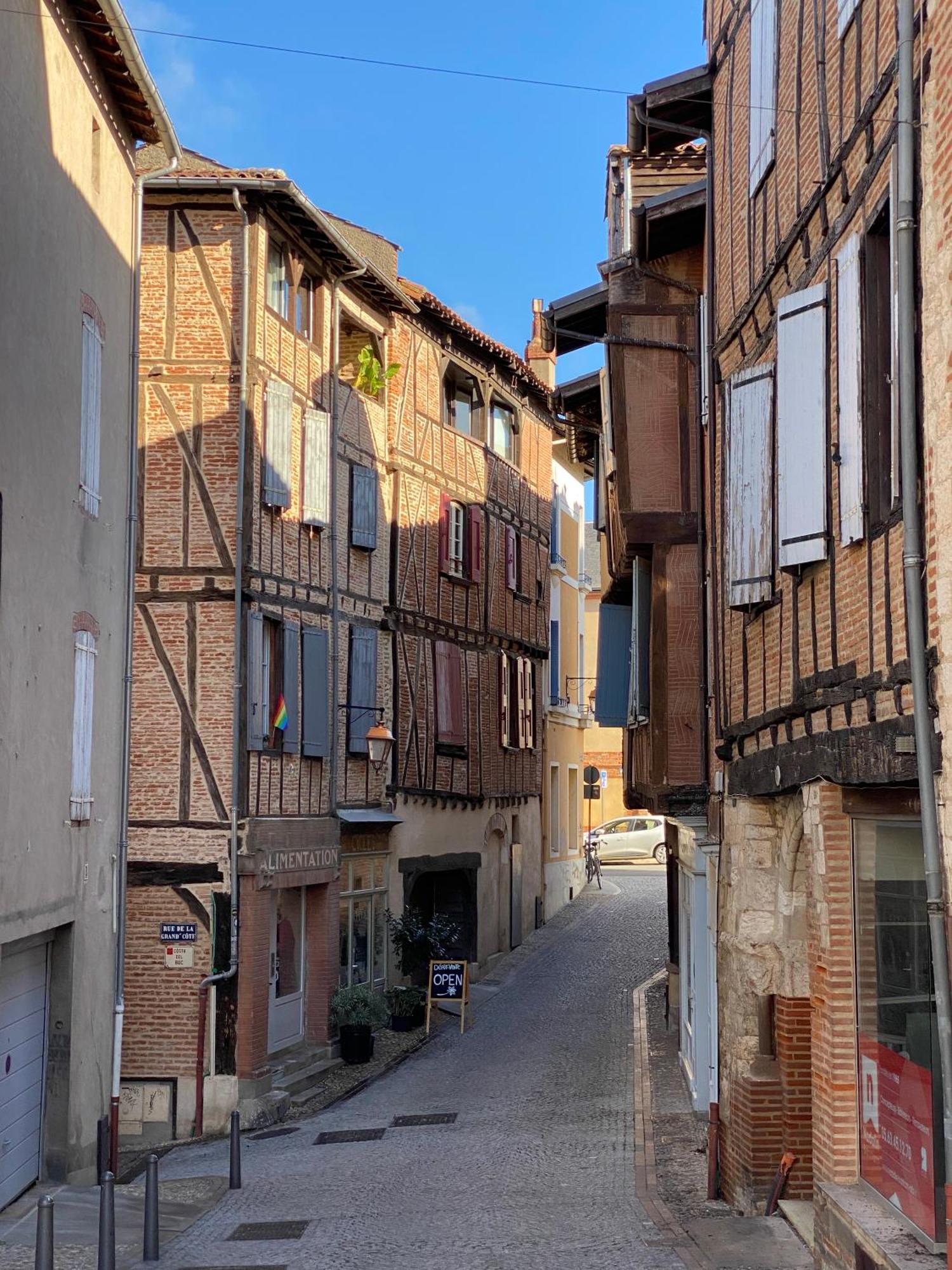 Le Patio St Etienne - Cite Episcopale - Parking Inclus Albi Exterior foto